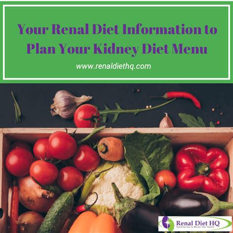 Renal Diet Information Learn More About Meal Plans