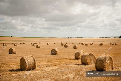 Round Hay Bales In Field — Overcast Daylight Stock Photo 168125280