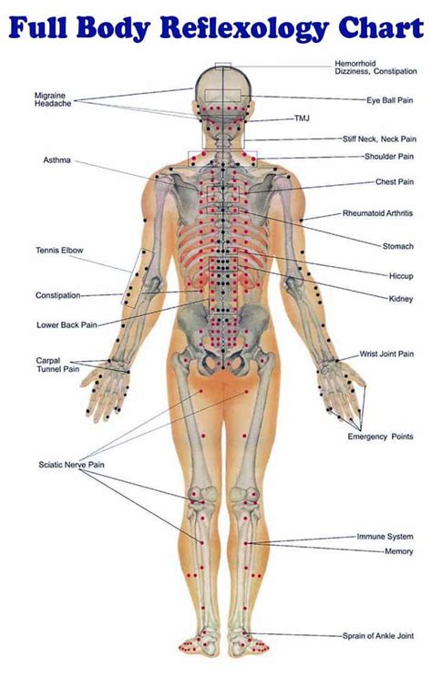 Reflexology Massage Techniques Lots Of Charts Reflexology Massage
