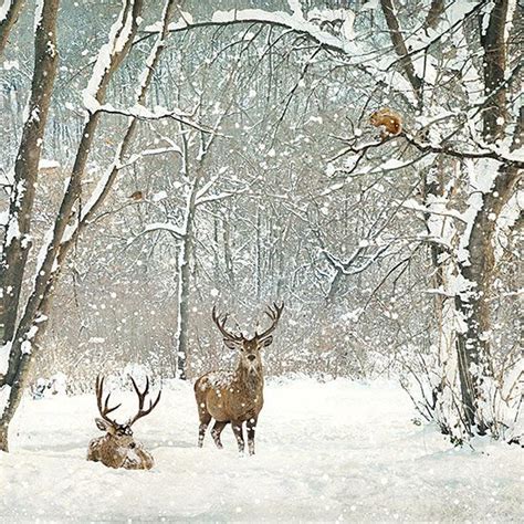 Bugart Christmas Landscapes ~ Deer Woods Christmas Landscapes Designed