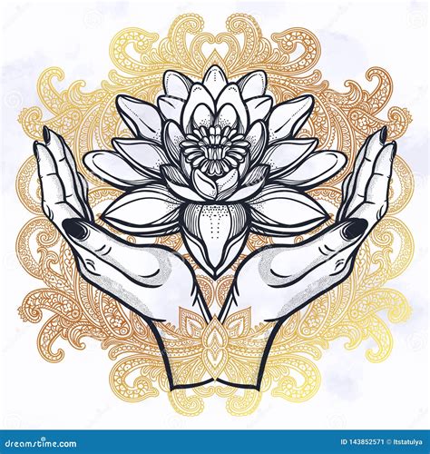 Lotus In Hands Stock Vector Illustration Of Buddhism