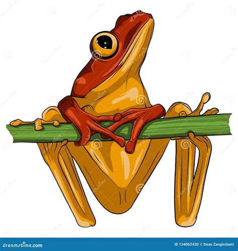 Coqui Cartoons Illustrations And Vector Stock Images 17 Pictures To