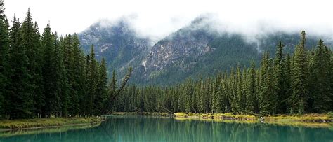 Hd Wallpaper Lake Surrounded With Trees Landscape Bow River Alberta