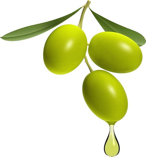 Olive Clipart 20 Free Cliparts Download Images On Clipground 2023