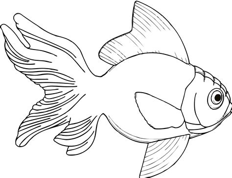 Black And White Fish Drawings Animalpict Clipart Best Clipart Best