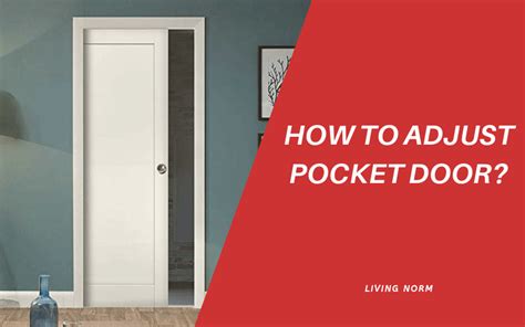 How To Adjust Pocket Door Living Norm