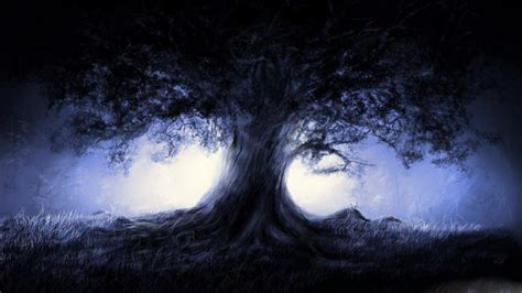 Dark Forest Tree Moon Light Wallpapers Hd Desktop