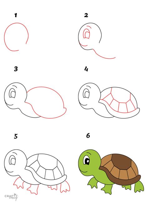 Drawing A Tortoise Step By Step Tutorial Crafty Morning