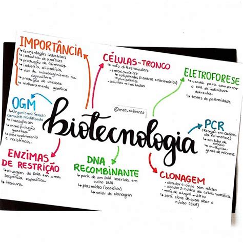 Mapa Mental De Biología