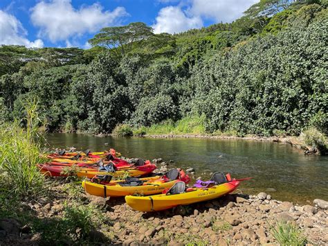 Wailua River Kayak Tour What To Expect Tours And Tips 2024