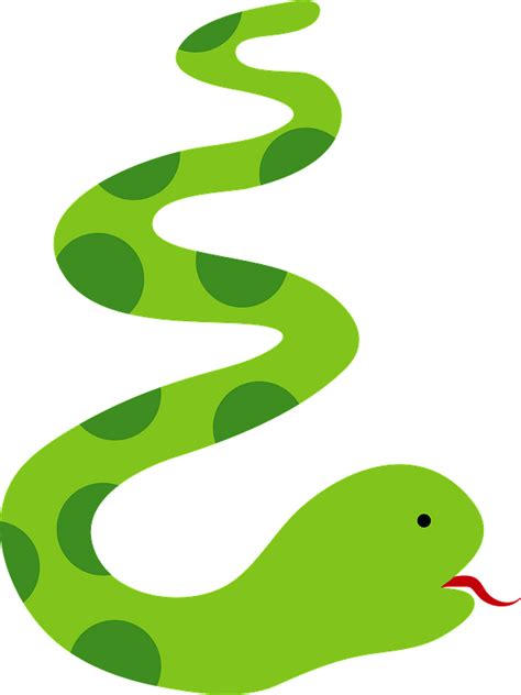 Long Green Snake Clipart Free Download Transparent Png Creazilla