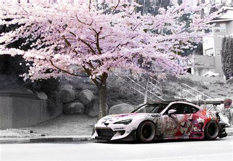 Cherry Blossom Vehicle Wrap Margarete Greiner
