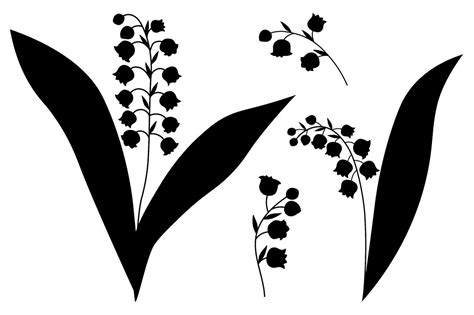 Lilies Of The Valley Flowers Silhouettes Vector Illustration By