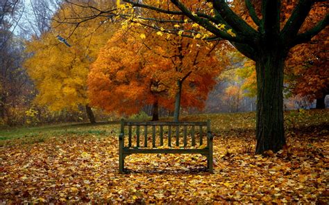 Beautiful Fall Scenery Wallpaper 49 Images