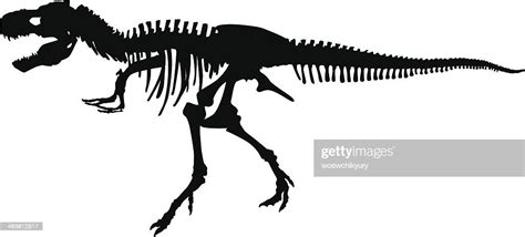 Dinosaur Skeleton Vector Silhouette High Res Vector Graphic Getty Images