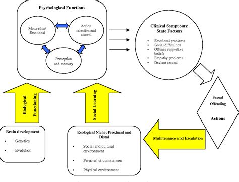 Pdf Rehabilitation Etiology And Self Regulation The Comprehensive