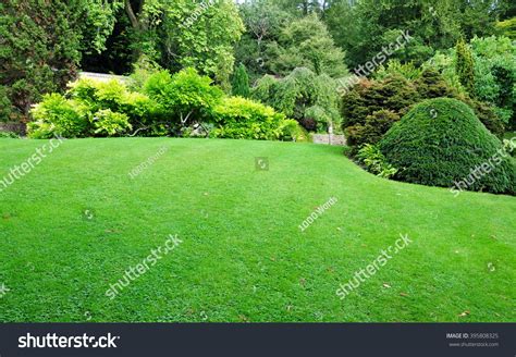 Beautiful Garden Freshly Mowed Lawn Stock Photo 395808325 Shutterstock