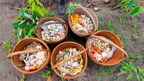 เห็ดระโงก มีการเริ่มเพาะปลูกมาจากโครงการในพระราชดำริ ว่าด้วยเรื่องการปลูกป่า 3 อย่าง ได้ประโยชน์ 4 อย่าง จนสามารถเพาะปลูกได้สำเร็จในที่แรก. "เก็บเห็ดระโงก"ทั้งใข่ทั้งจูมหมานกันทุกคน - YouTube