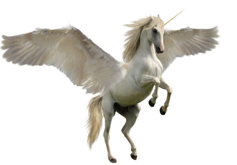 Winged Unicorn By Discoverie On Deviantart