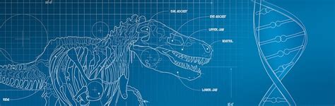 Have Researchers Found Dinosaur Genes Answers In Genesis