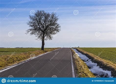 Rural Road In Czech Countryside Stock Photo Image Of Freeway