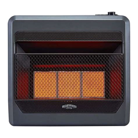 Top 10 Best Natural Gas Wall Heaters In 2021 Reviews Buyers Guide
