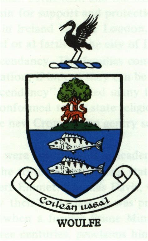 Woulfe The Woulfe Coat Of Arms This Is The