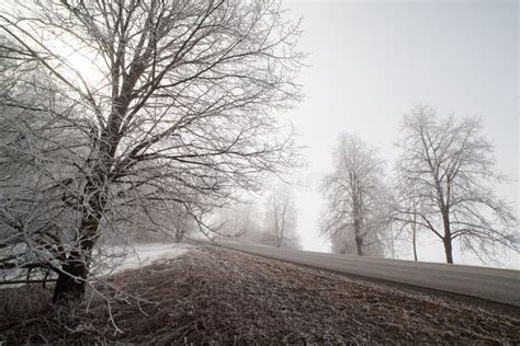 Foggy Winter Morning Stock Image Image Of Snow Foggy 34145775