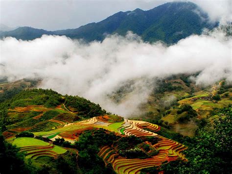 sapa-s-cable-car-named-among-new-tourist-attractions-to-visit-in-2015-travel-thanh-nien-daily