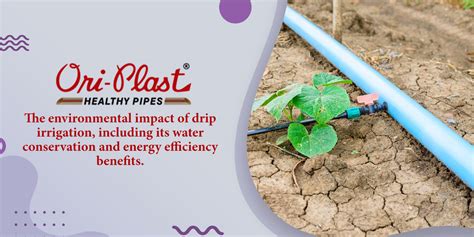 Top 7 Advantages Of Drip Irrigation Its Water And Energy Benefits