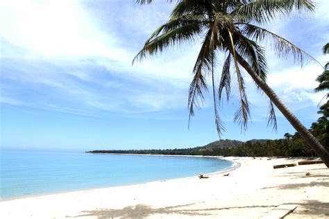 White Sand Beaches Where To Go In The Philippines Freedom Wall