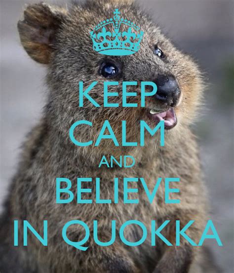 Keep Calm And Believe In Quokka Poster Shezbeth Keep