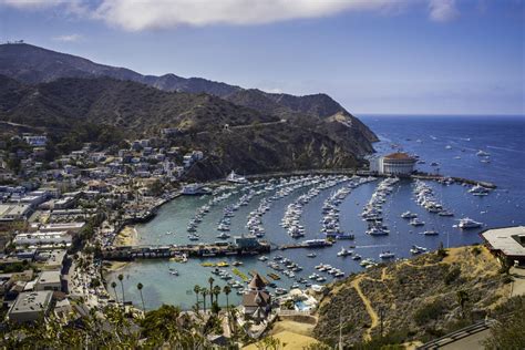 Guide To Catalina Island Find Things To Do Tours And Beaches