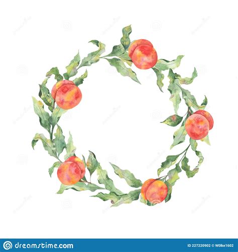Watercolor Round Frame With Bright Fruits Peaches And Twigs Of Leaves