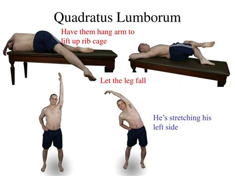 Quadratus Lumborum Stretch Hostjord