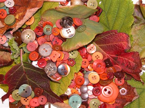 Autumn Leaves Buttons Buttoncompany Flickr