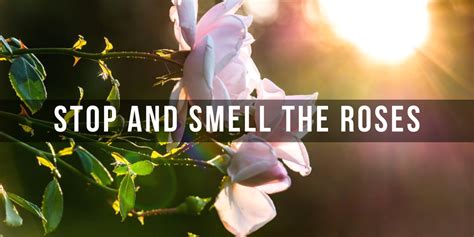 Stop And Smell The Roses Genesis Counseling Center