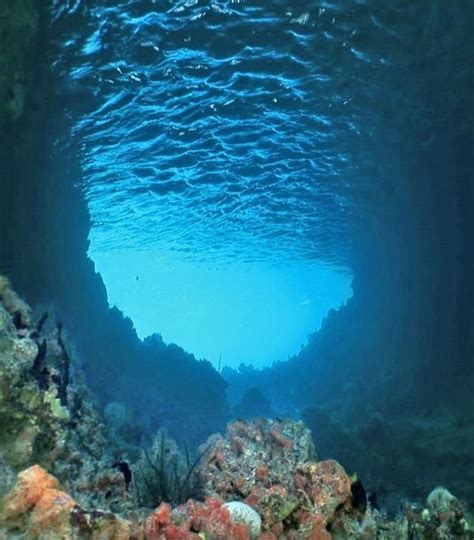 Beautiful Underwater Scene Underwater Caves Underwater Photos