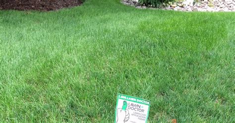 Over 100,000 hindi translations of english words and phrases. Lawn*Doctor Lawn Care Insights: July usually means brown ...