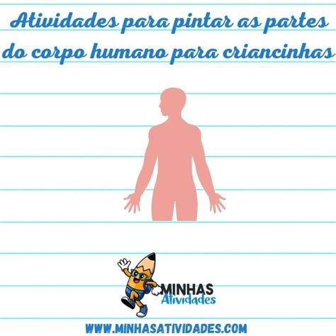 Corpo Humano Para Pintar