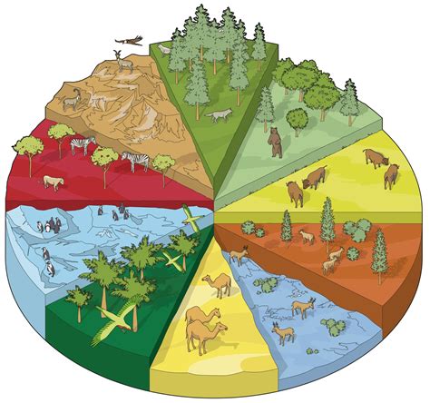 Land Habitats Different Habitat Types Dk Find Out