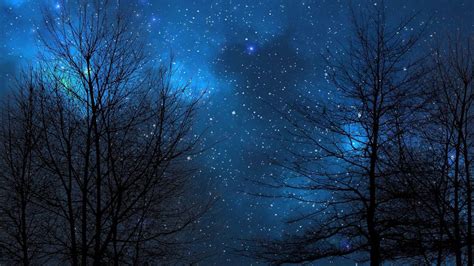 Download Night Sky Blue Nebula 4k Dreamscene Live Wallpaper