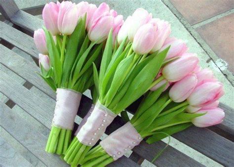 Tulips Buket Bunga Bunga Tulip Buket