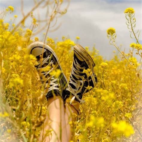 Hd wallpapers and background images. hufflepuff summer aesthetic | Tumblr