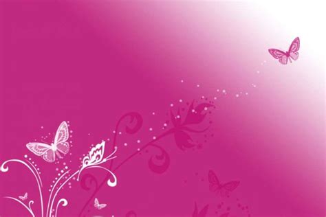 Free Download Pink Butterfly Vector Background Hd Wallpapers Pink