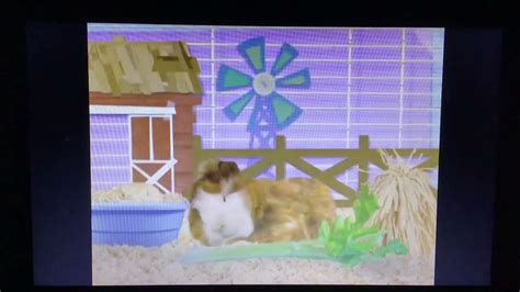 Wonder Pets Save The Rooster Youtube