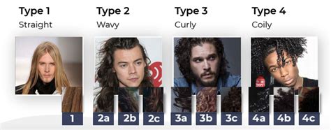 Top 48 Image Hair Type Chart Men Vn