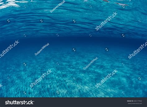 Underwater Shoot Infinite Sandy Sea Bottom Stock Photo 445177942