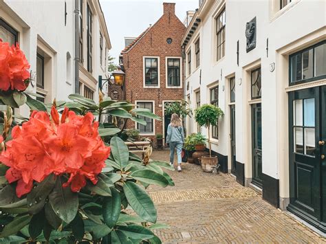 Wat Te Doen In Haarlem Alle Tips En Bezienswaardigheden