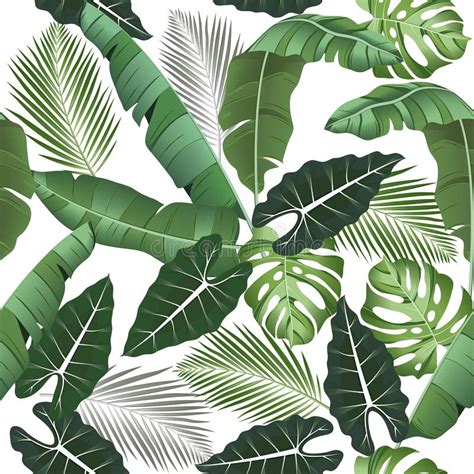 Seamless Pattern With Tropical Leaves Alocasia Palms Monstera